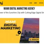 Egochi Miami SEO Agency