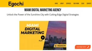 Egochi Miami SEO Agency